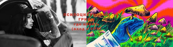 молекула духа Алзамай
