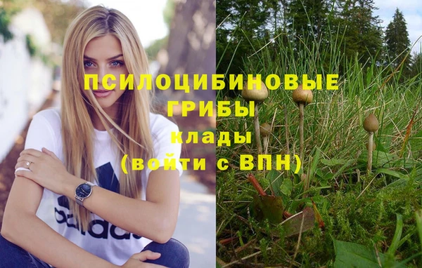 молекула духа Алзамай
