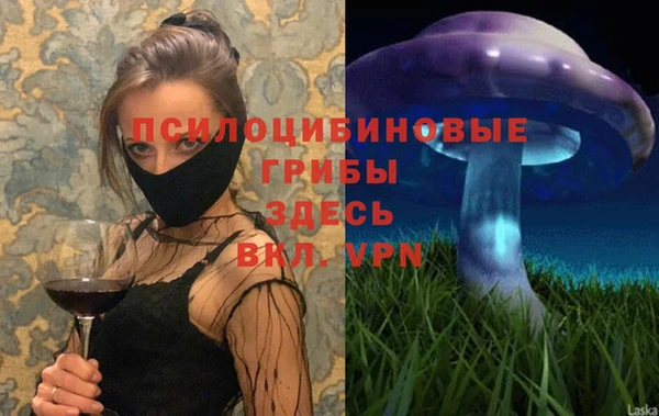 спайс Алексеевка