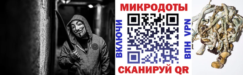 Галлюциногенные грибы ЛСД  МЕГА онион  Пушкино 